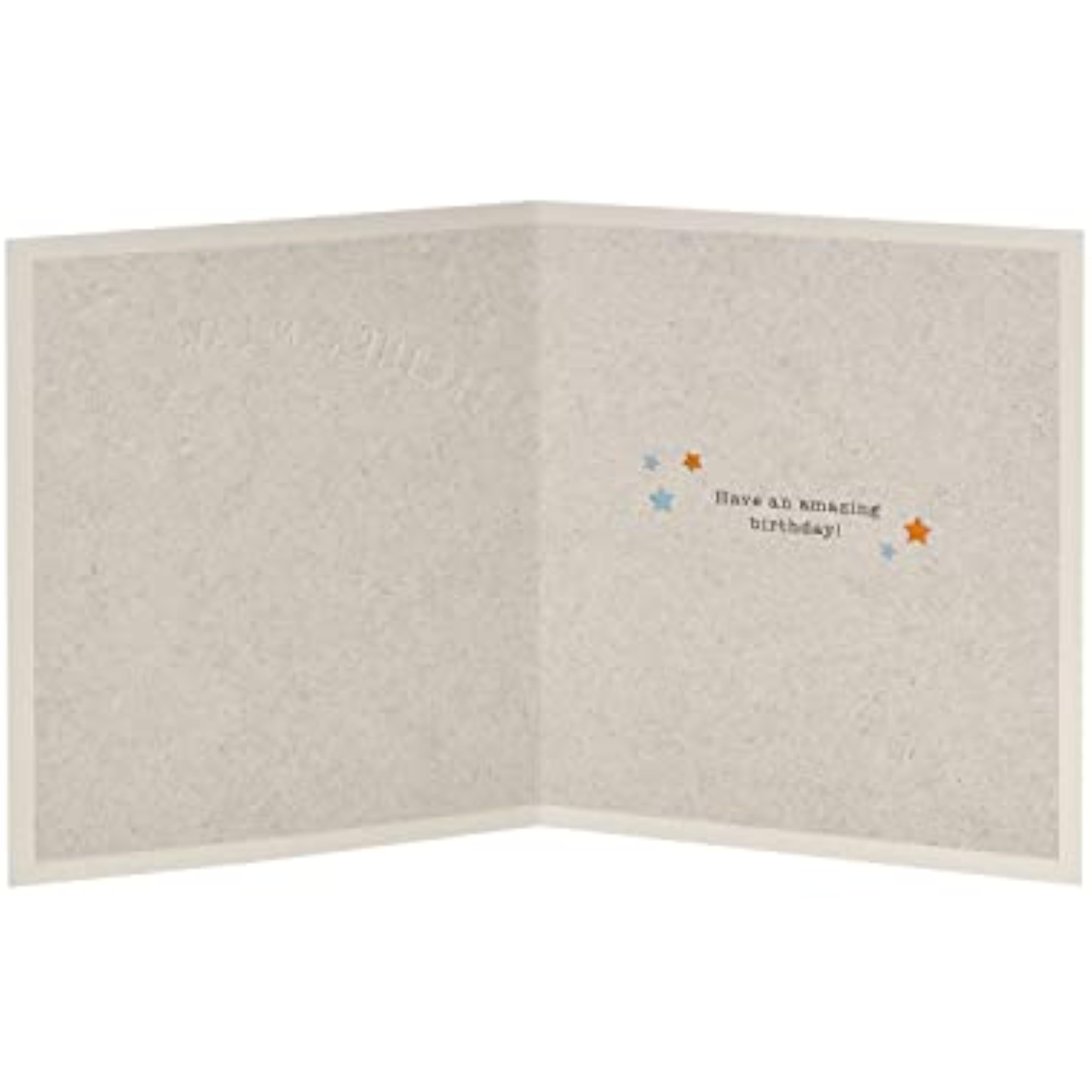 Boofle Brother-in-Law Birthday Card Embossed Design