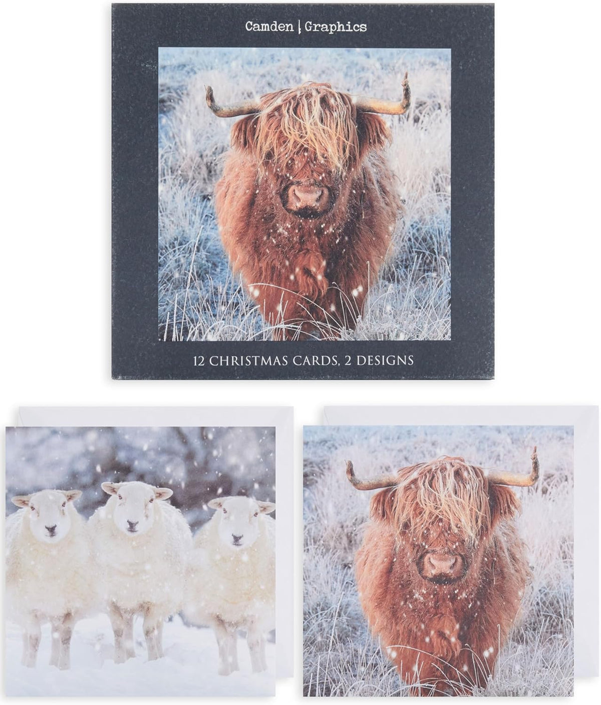 Boxed Assortments Standard-Winter Animals (812)