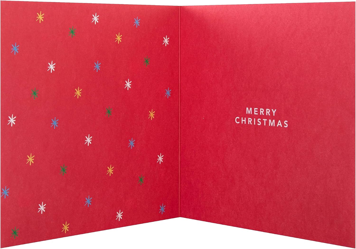 Dad Christmas Greeting Card from Pets with Festive Cute Design and Loving Wishes