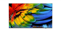 Philips 43HFL6214U 43 Inch 3840 x 2160 Pixels 4K Ultra HD Resolution HDMI 2.0 USB 3.0 USB 2.0 Mediasuite TV