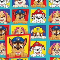 Paw Patrol Wrapping Paper 2 Sheets & 2 Tags