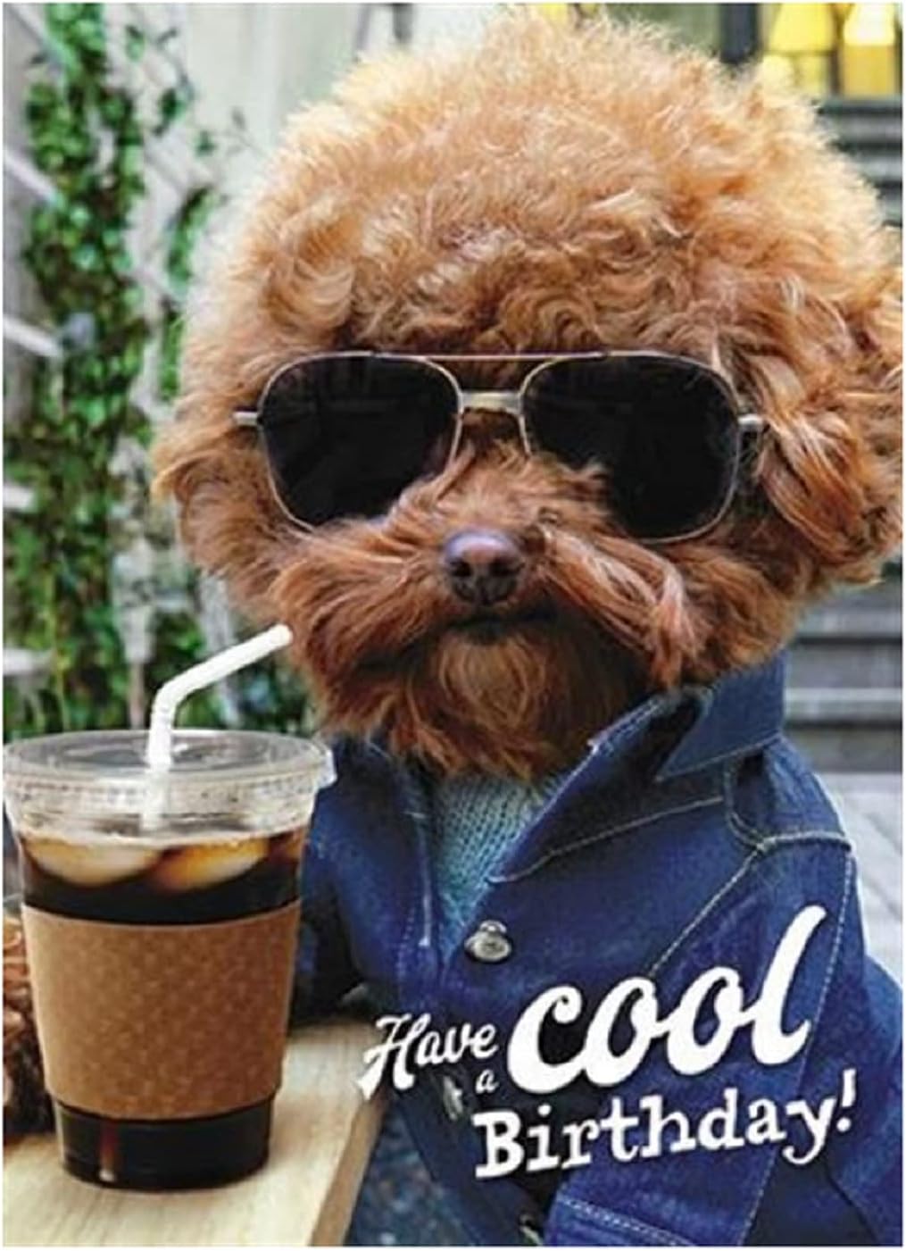 Dog wearing sunglasses and holding coffee, on a humorous greeting card with a chill vibe, by GBCC.