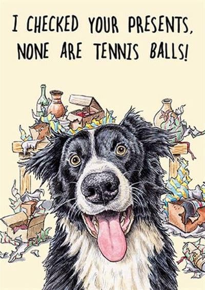 Funny Border Collie tennis ball birthday card by GBCC featuring a humorous dog illustration on a greeting card.