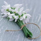 Bunch of snowdrop sympathy card by GBCC, condolence greeting card with delicate snowdrop flowers on the front.