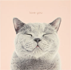 Cat Smiling Valentine’s Day Card For Her