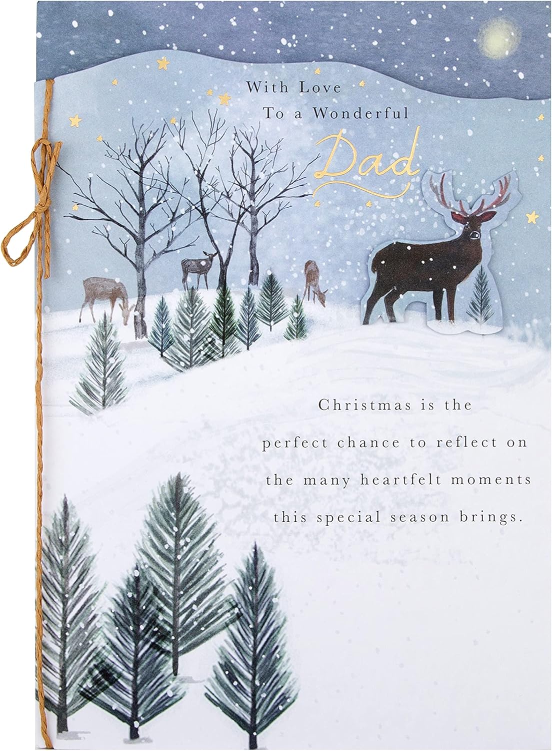 Hallmark Christmas greeting card for Dad with festive seasonal design and loving holiday wishes, perfect for celebrating the holidays.