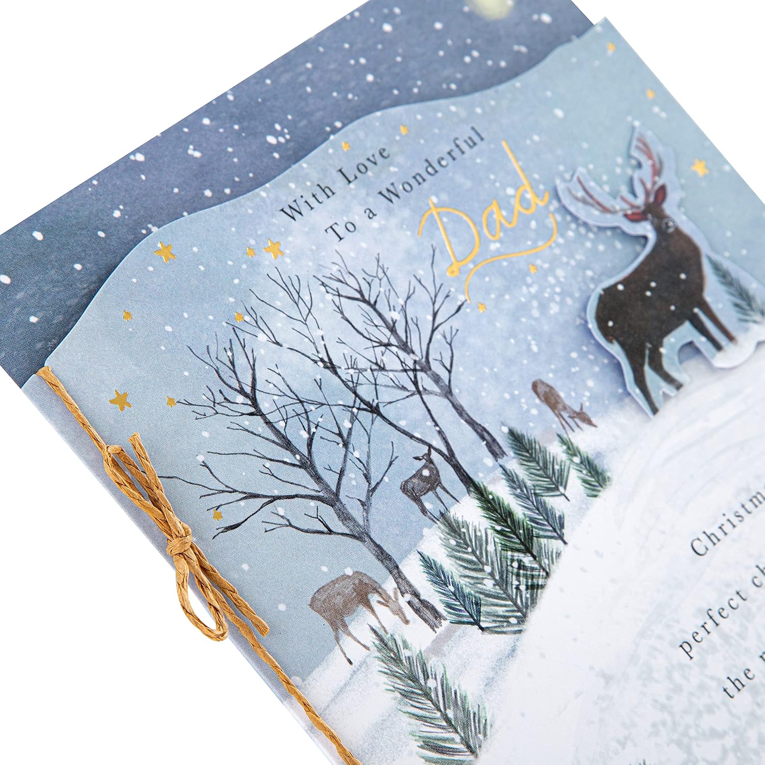 Hallmark Christmas greeting card for Dad featuring festive seasonal design and heartfelt holiday wishes.