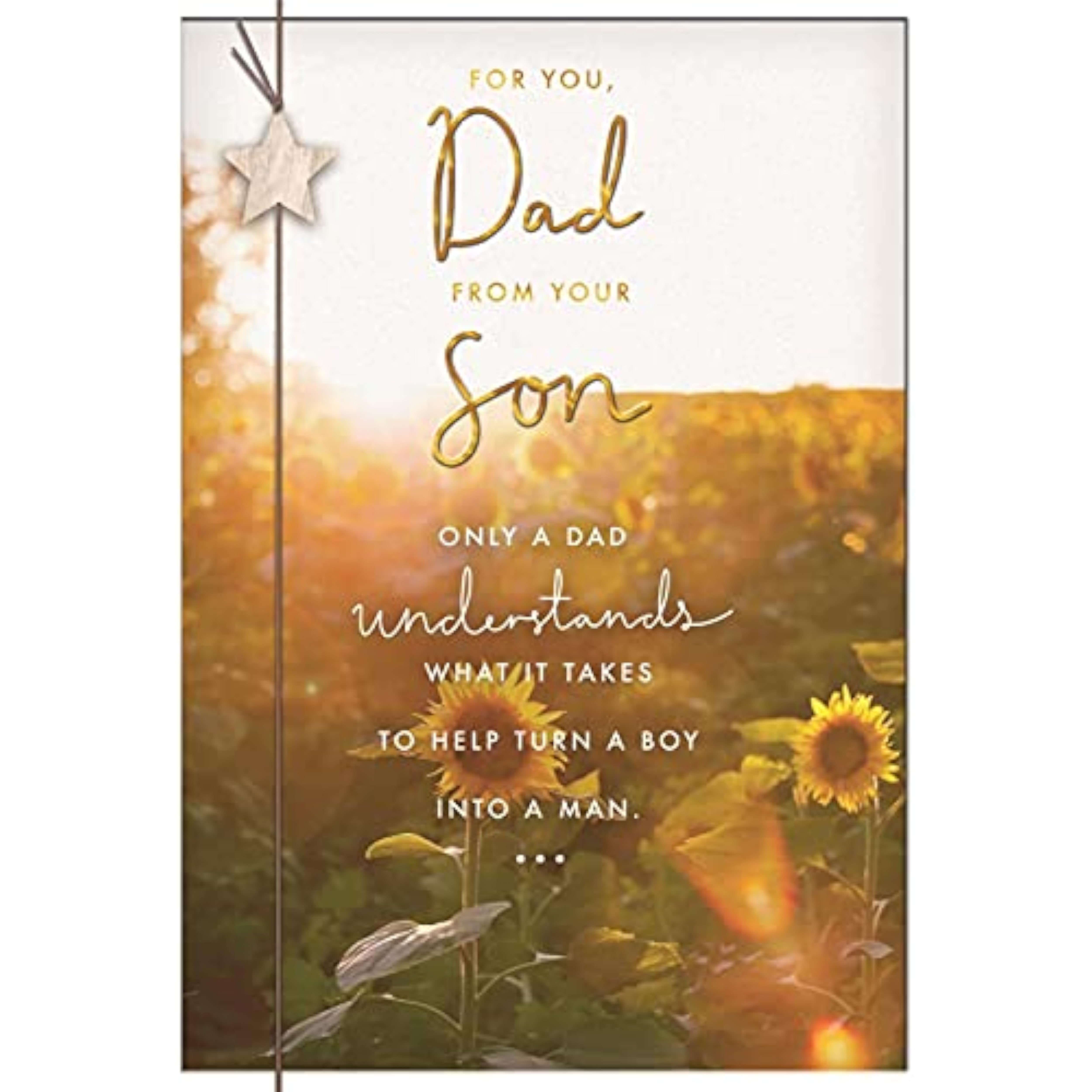 Hallmark Father's Day card for Dad from Son, featuring heartfelt message and festive design, suitable for celebrating Father’s Day.
