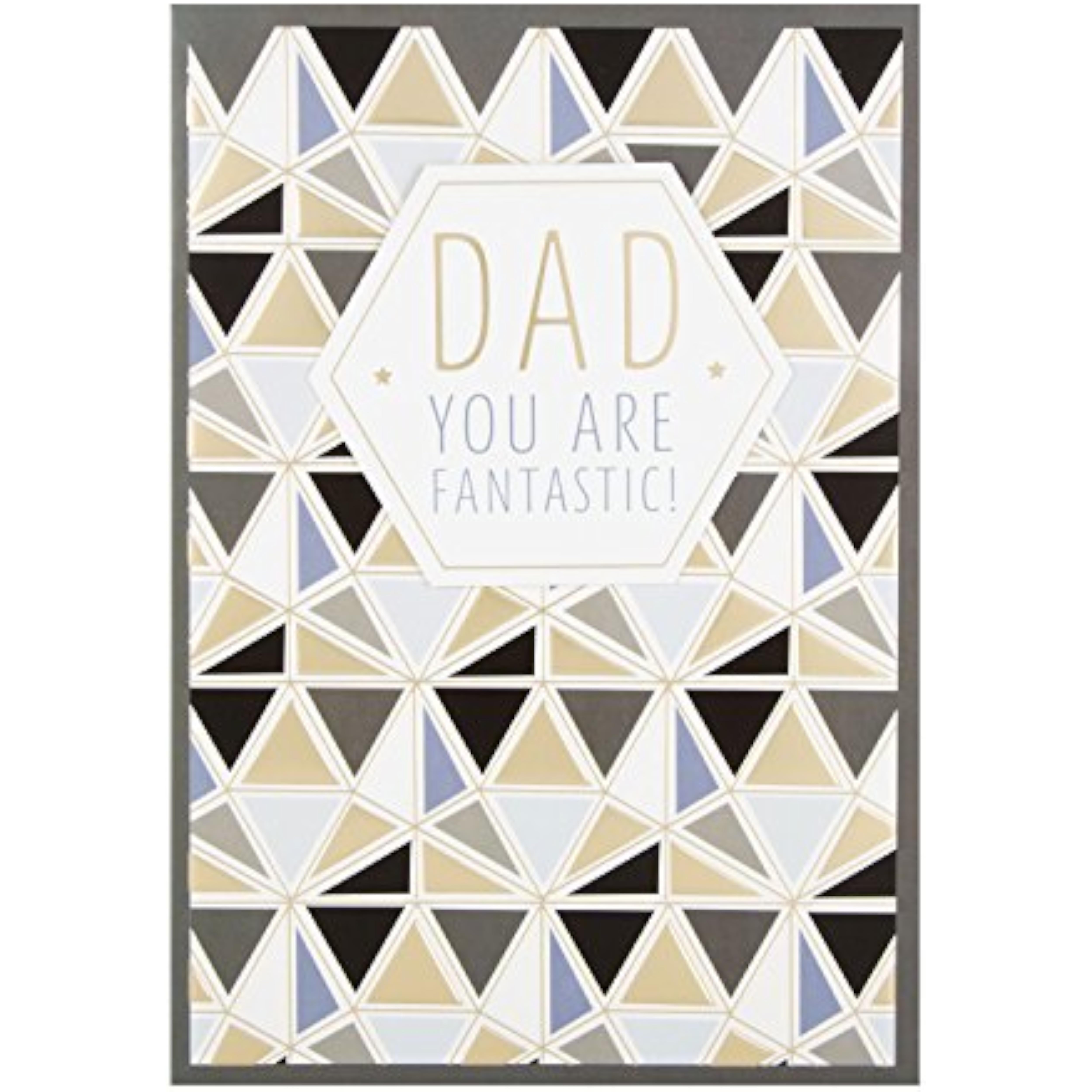 Hallmark Father's Day card featuring "You Are Fantastic" message, medium-sized licensed greeting card for dads.