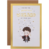 Hallmark Harry Potter Hedwig Owl maze activity birthday card featuring Hedwig the owl from Warner Brothers, with magical themed design.