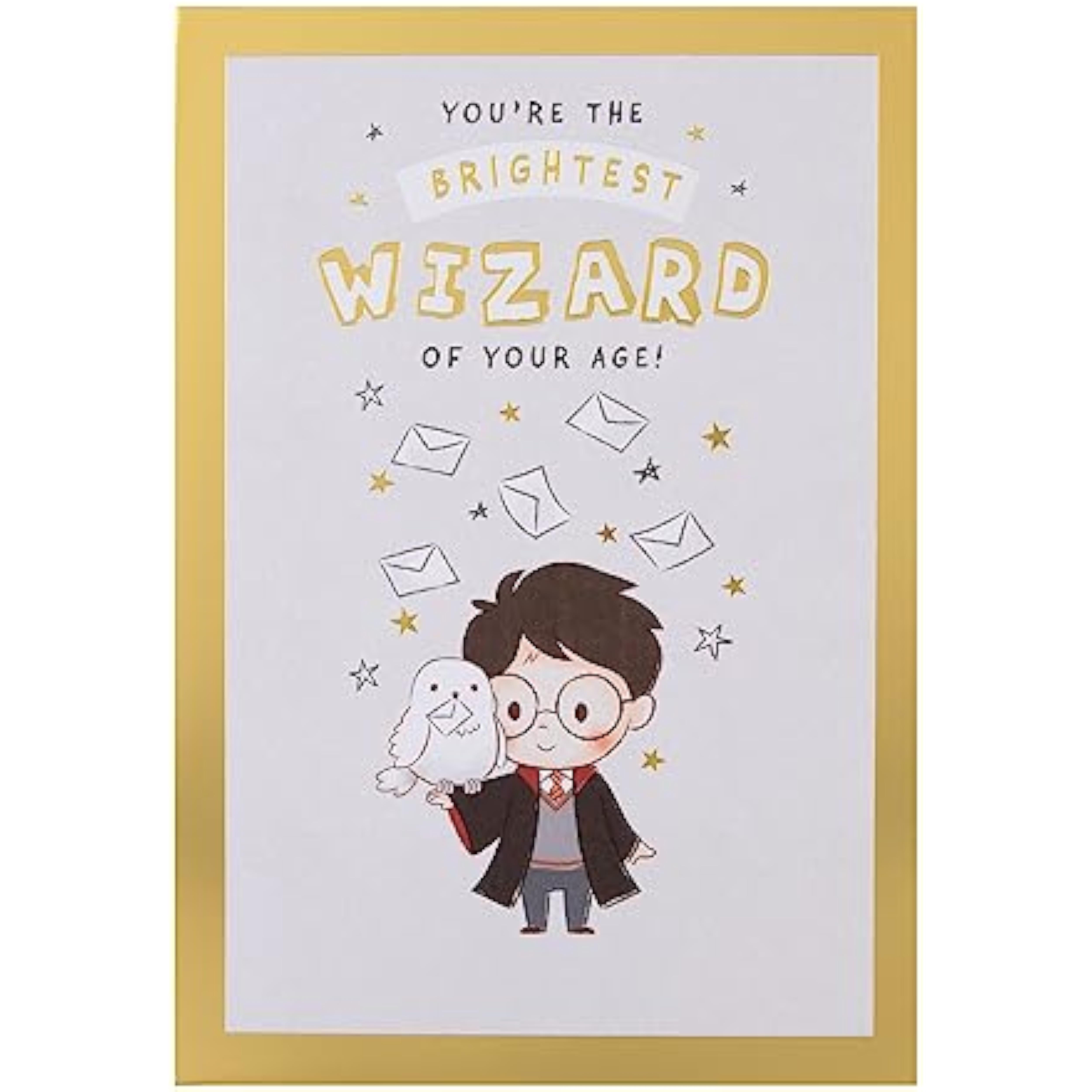 Hallmark Harry Potter Hedwig owl birthday greeting card with maze activity and Harry Potter branding.
