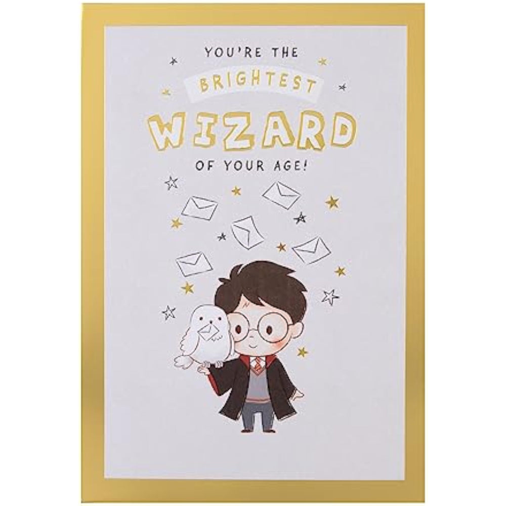 Hallmark Harry Potter Hedwig owl birthday greeting card with maze activity and Harry Potter branding.