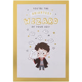 Hallmark Harry Potter Hedwig owl birthday greeting card with maze activity and Harry Potter branding.