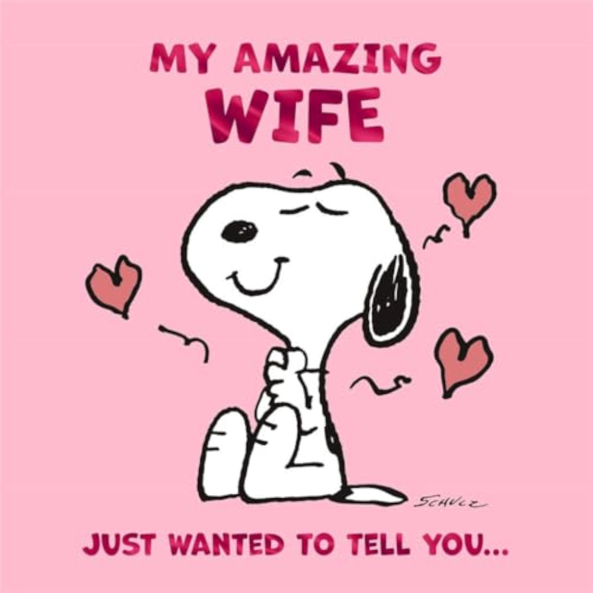Hallmark Peanuts Snoopy greeting card for wife’s birthday with playful Snoopy illustration and heartfelt message.