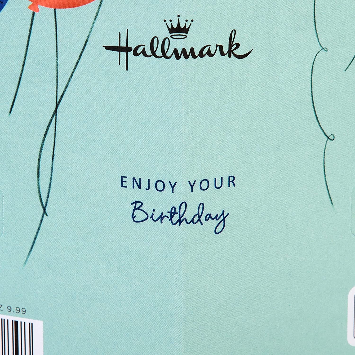 Hallmark 3D birthday greeting card for brother featuring colorful balloons and bunting design with festive decorations.