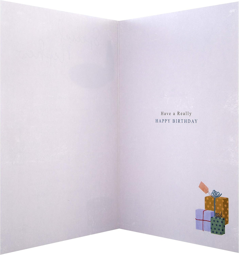 Hallmark birthday greeting card for nephew with a classic design and heartfelt message, featuring colorful illustrations on the front.