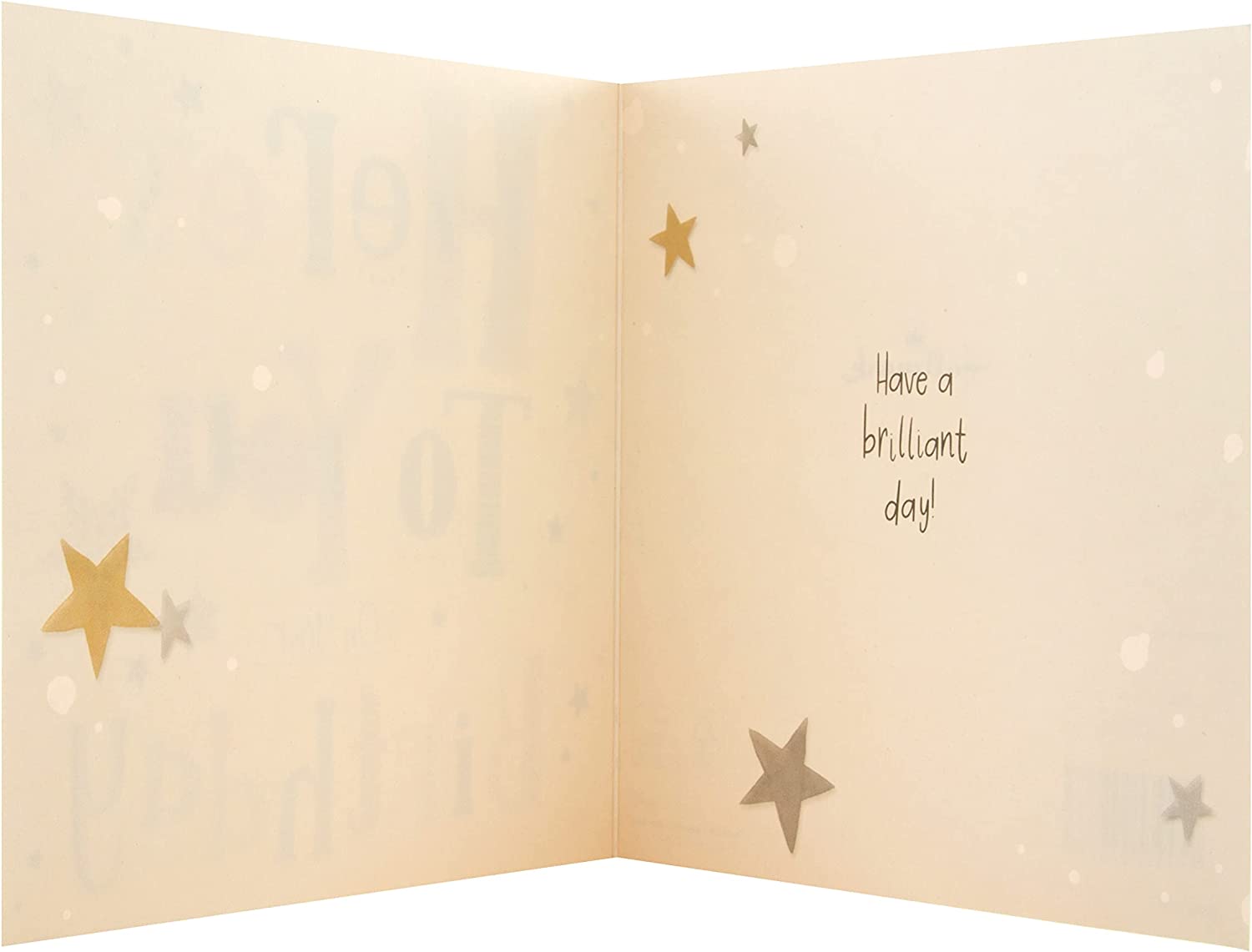 Hallmark Classic Gold and Silver Text Birthday Card with elegant design, perfect for celebrating birthdays with a stylish greeting card.