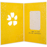Hallmark greeting card featuring a contemporary floral design with a seeded paper insert for birthdays.