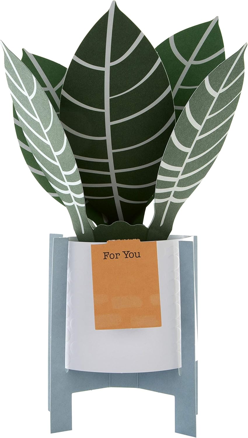 Hallmark pop-up greeting card featuring a contemporary zebra plant design with colorful, detailed illustrations.