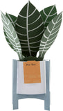 Hallmark pop-up greeting card featuring a contemporary zebra plant design with colorful, detailed illustrations.