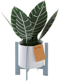 Hallmark pop-up greeting card featuring a contemporary zebra plant design with colorful, detailed paper art.