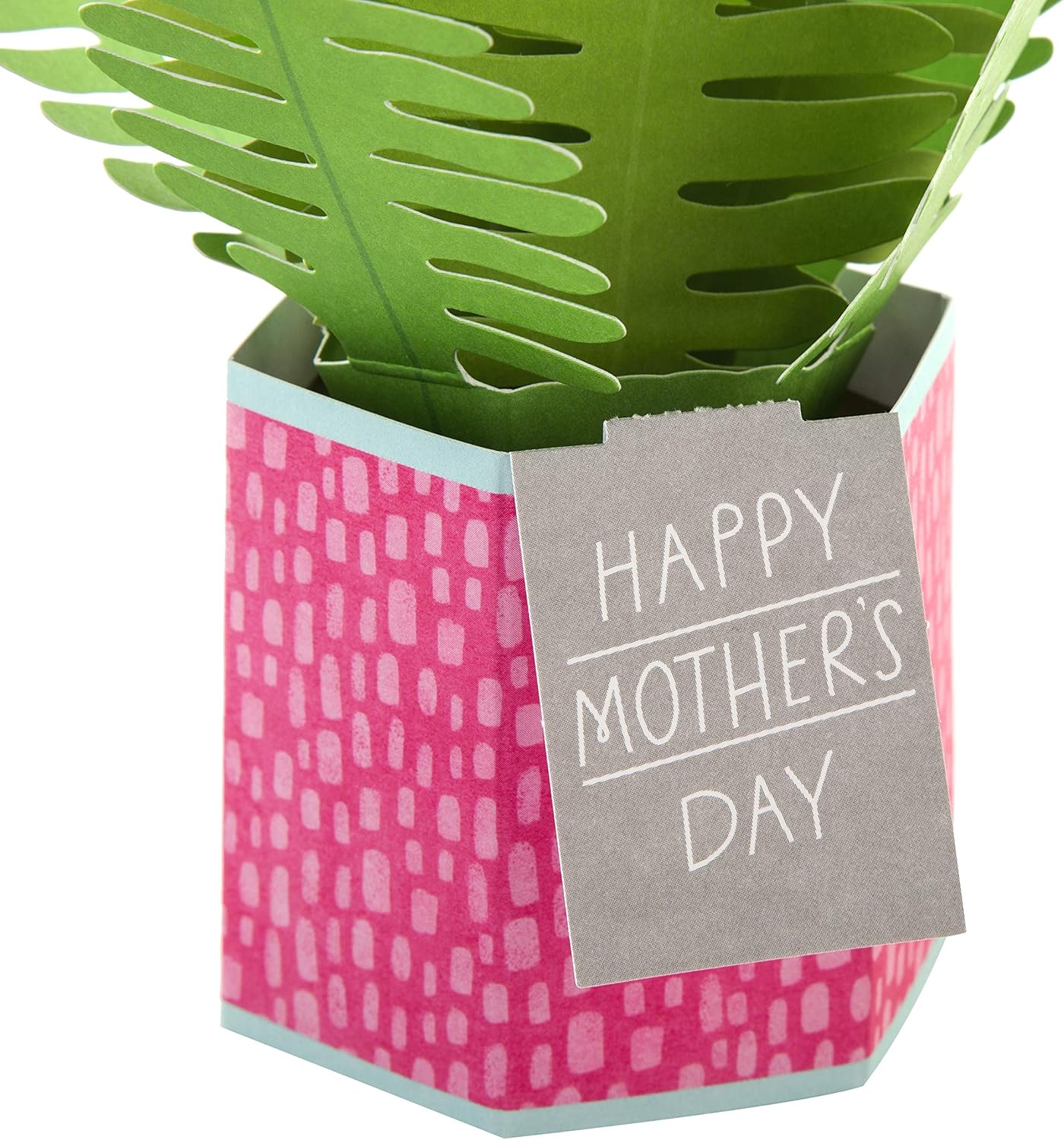 Hallmark Pop-Up Plant Paper Wonder Mother’s Day card with a 3D floral design, featuring vibrant colors and intricate craftsmanship.