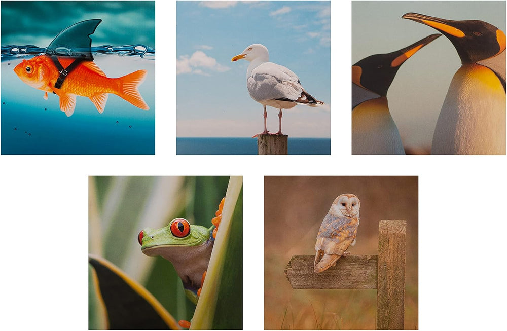 Set of 20 Hallmark photographic animal designs blank greeting cards in a multi-pack, featuring colorful animal illustrations.