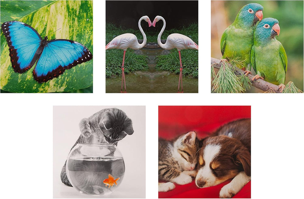 Set of 20 Hallmark photographic animal design greeting cards in a multipack, featuring blank interiors for personalized messages.