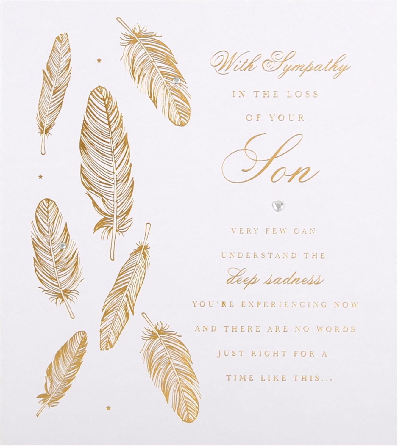Hallmark sympathy greeting card for the loss of a son with foil finish feathers, featuring heartfelt design and message.