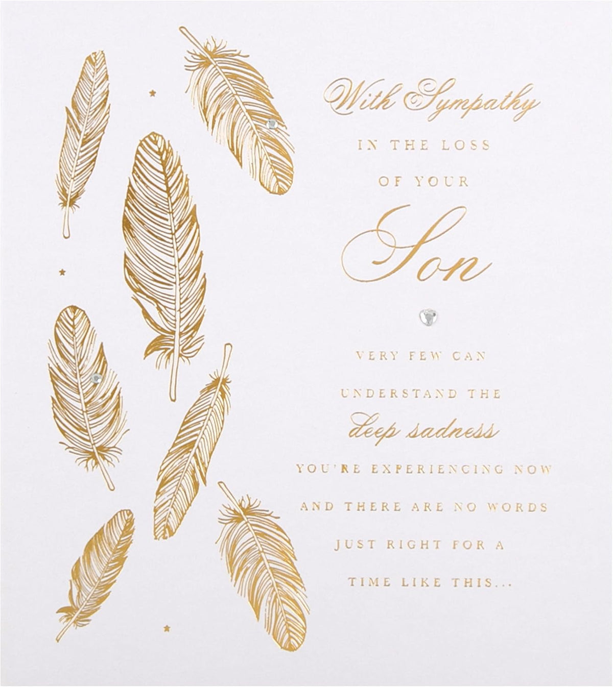 Hallmark sympathy greeting card for the loss of a son with foil finish feathers, featuring heartfelt design and message.
