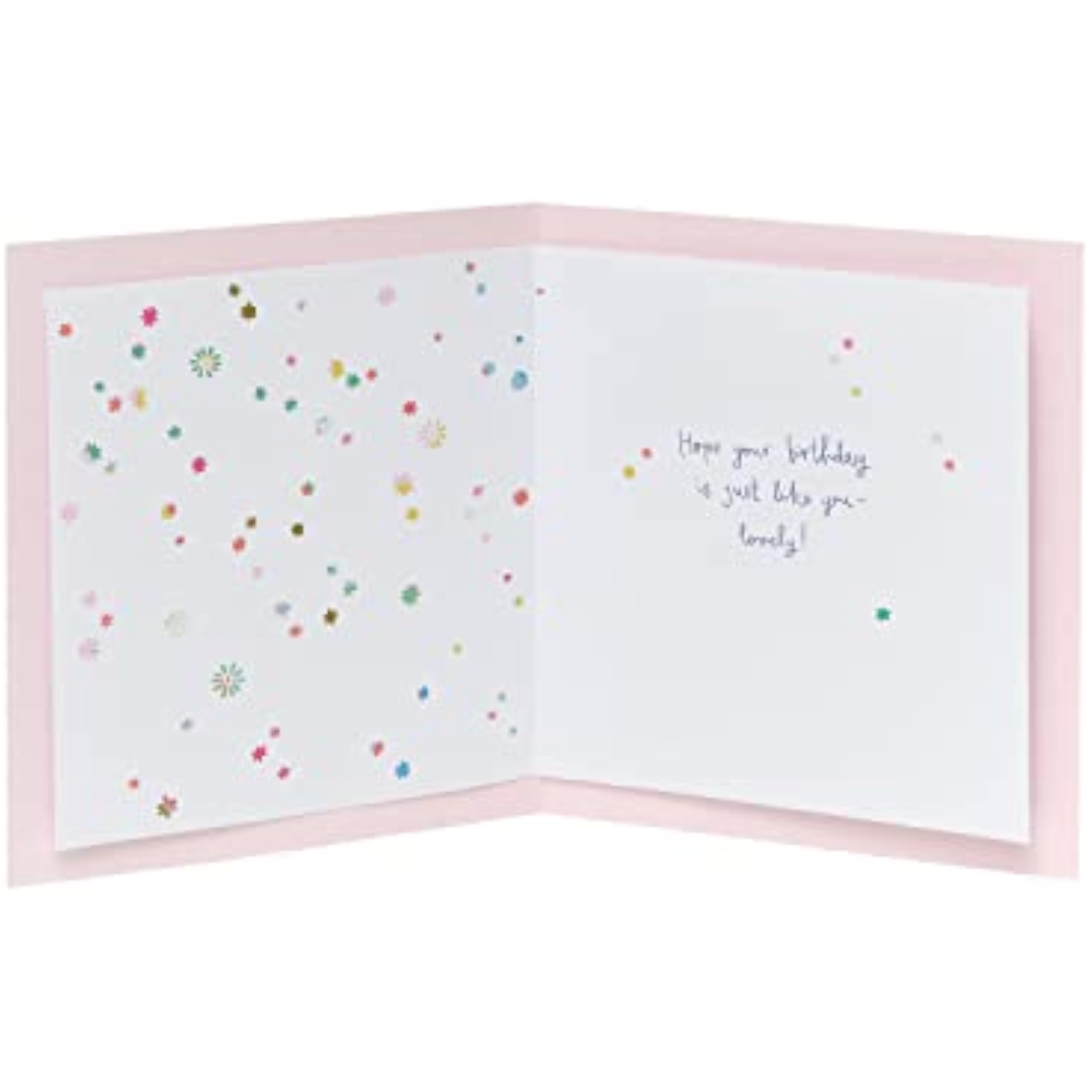 Special Design Sister-In-Law Birthday Card