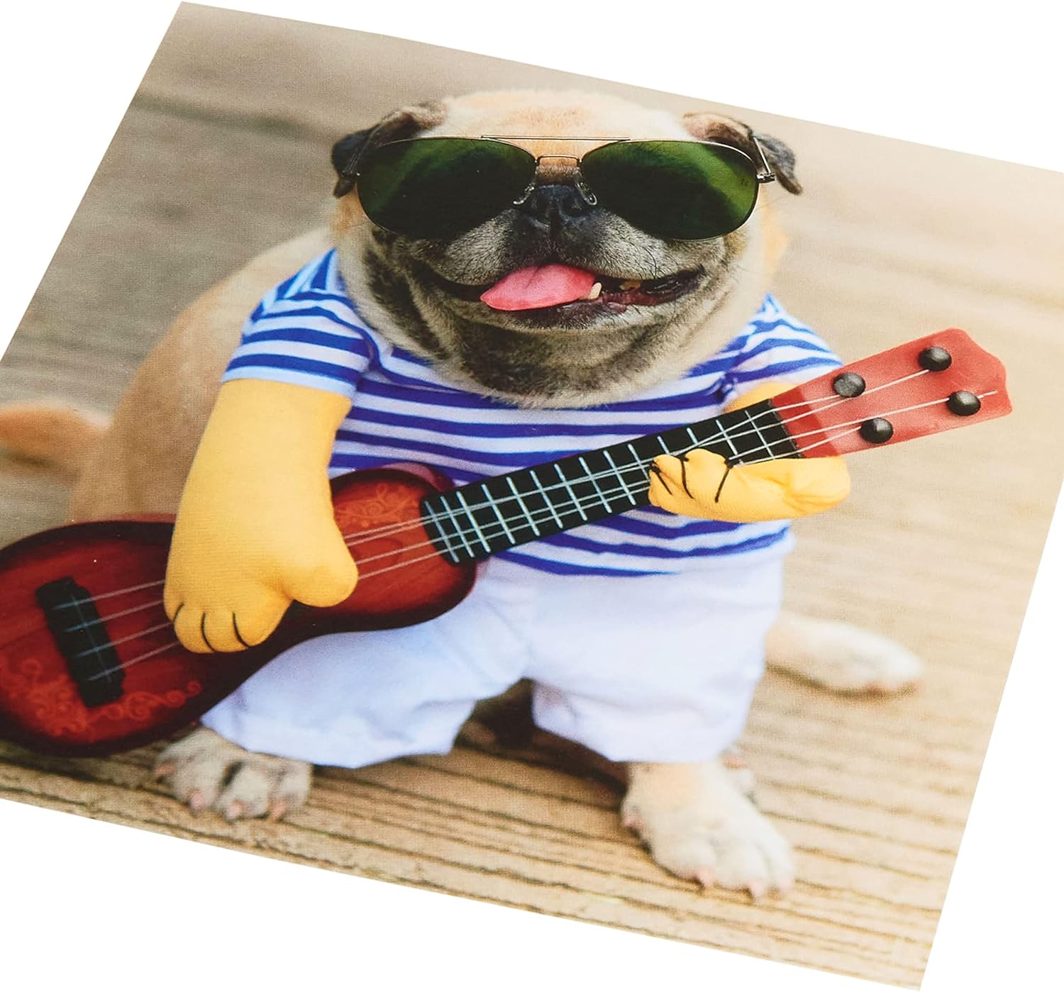 Pug & Ukulele Design Funny Greetings Card Blank Inside