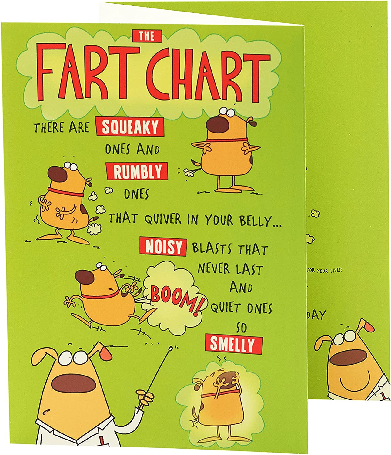 The Fart Chart! Tri-Folded Full Colour Humorous Card
