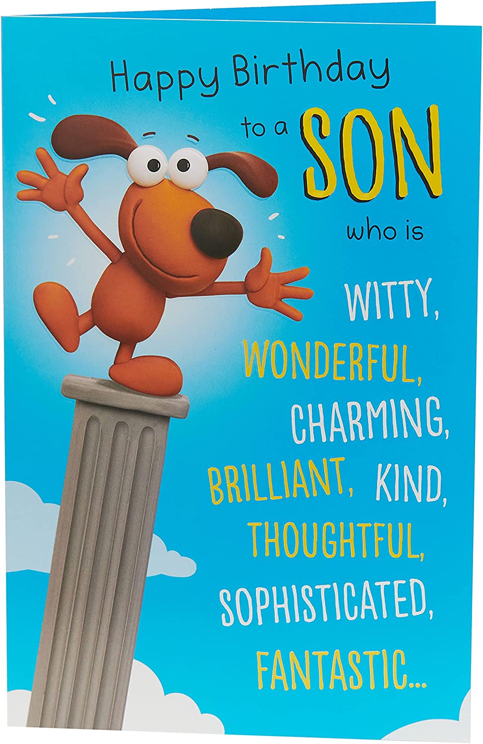 Funny Birthday Card for Son