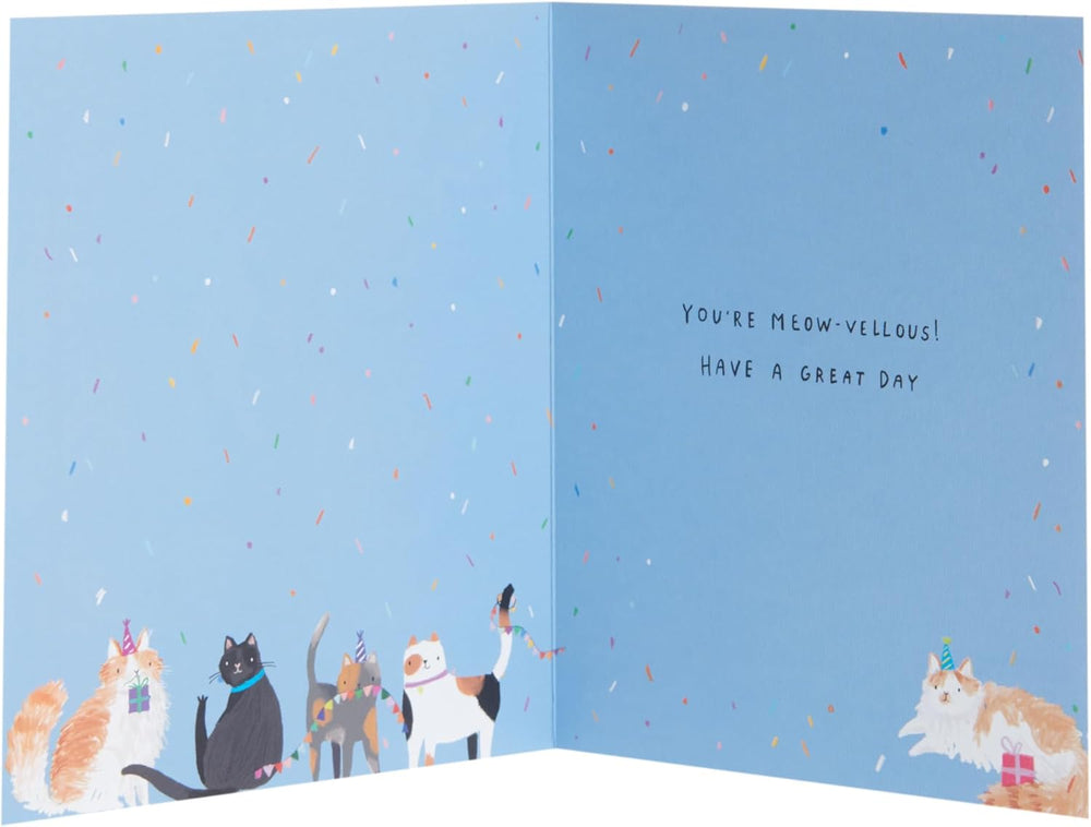 UK Greetings Birthday Card from The Cat - for Him/Her/Friend - Cute Design