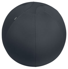 Leitz Active Sit Ball 65cm Anti-Roll-Away Dark Grey - 65420089 DD