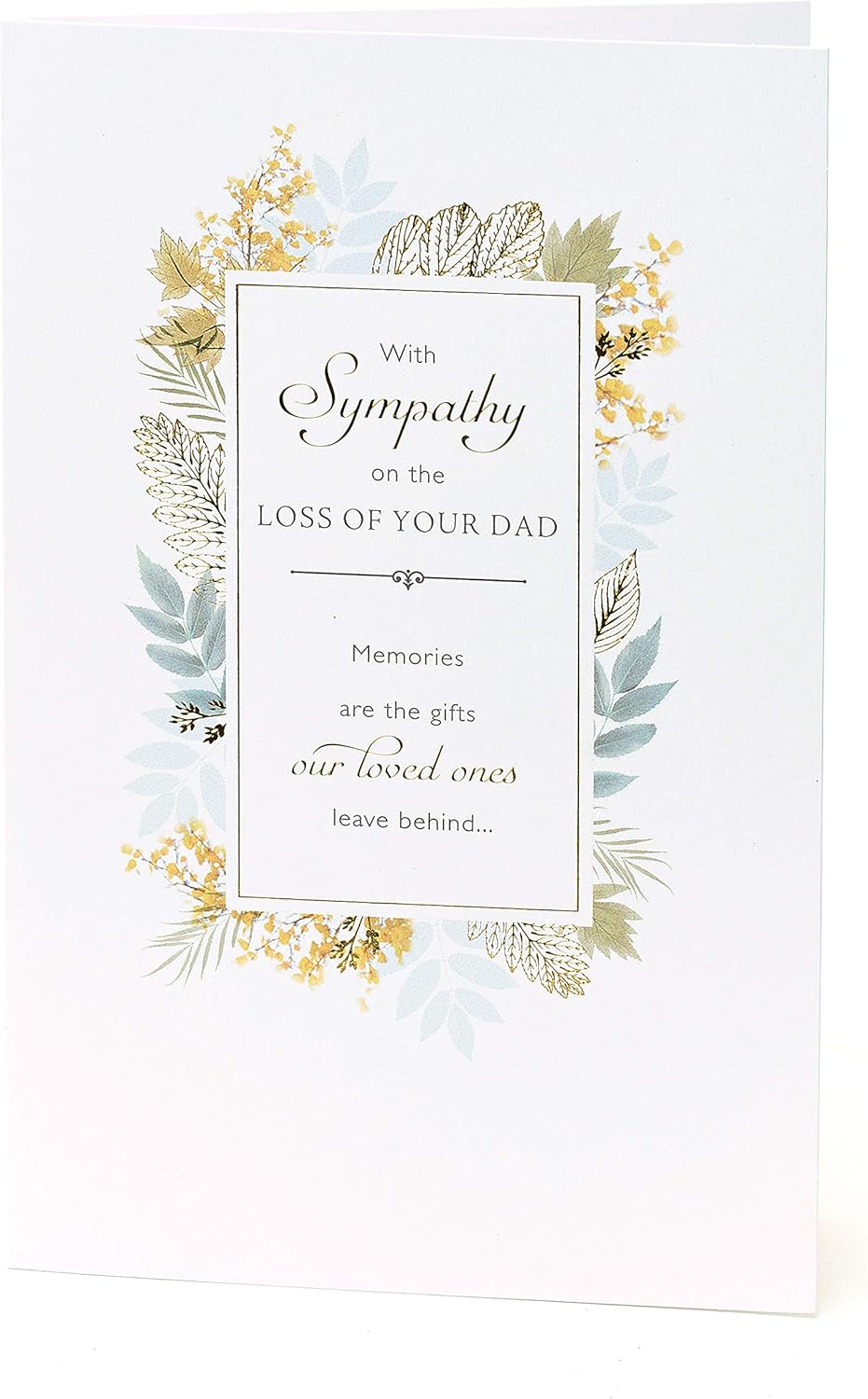 Integrated-Sympathy Loss Of Dad (50)