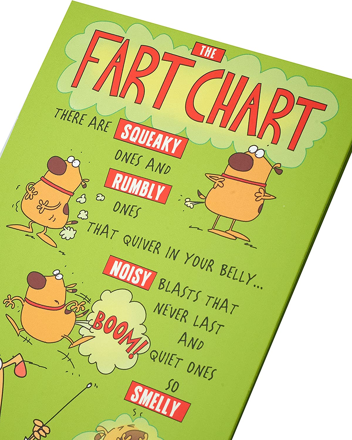 The Fart Chart! Tri-Folded Full Colour Humorous Card