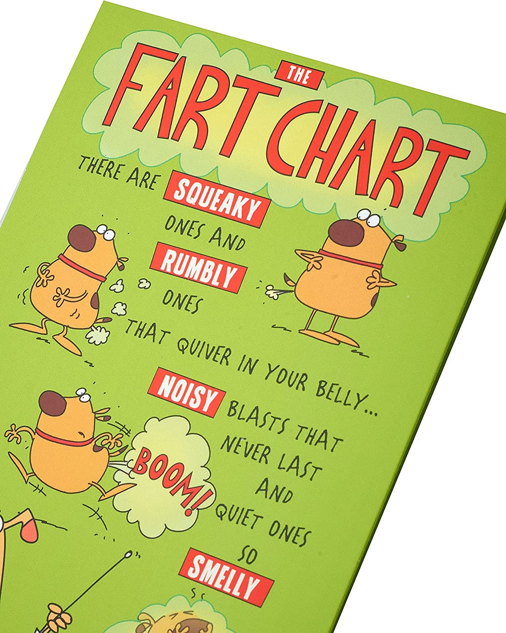 The Fart Chart! Tri-Folded Full Colour Humorous Card