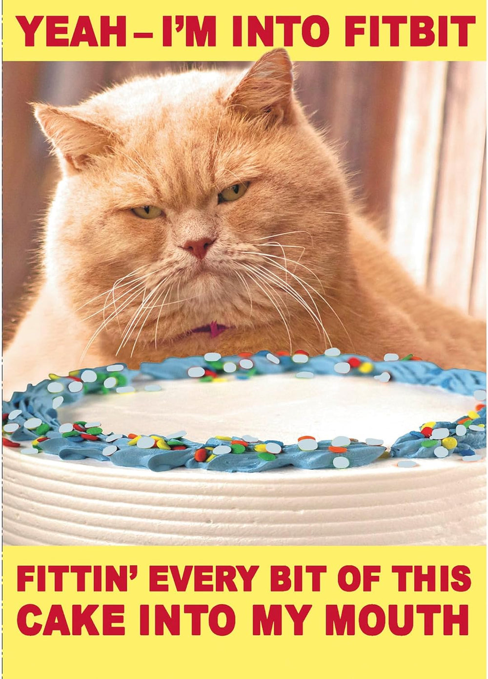 Funny Ginger Cat Design Yeah I am Into Fitbit
