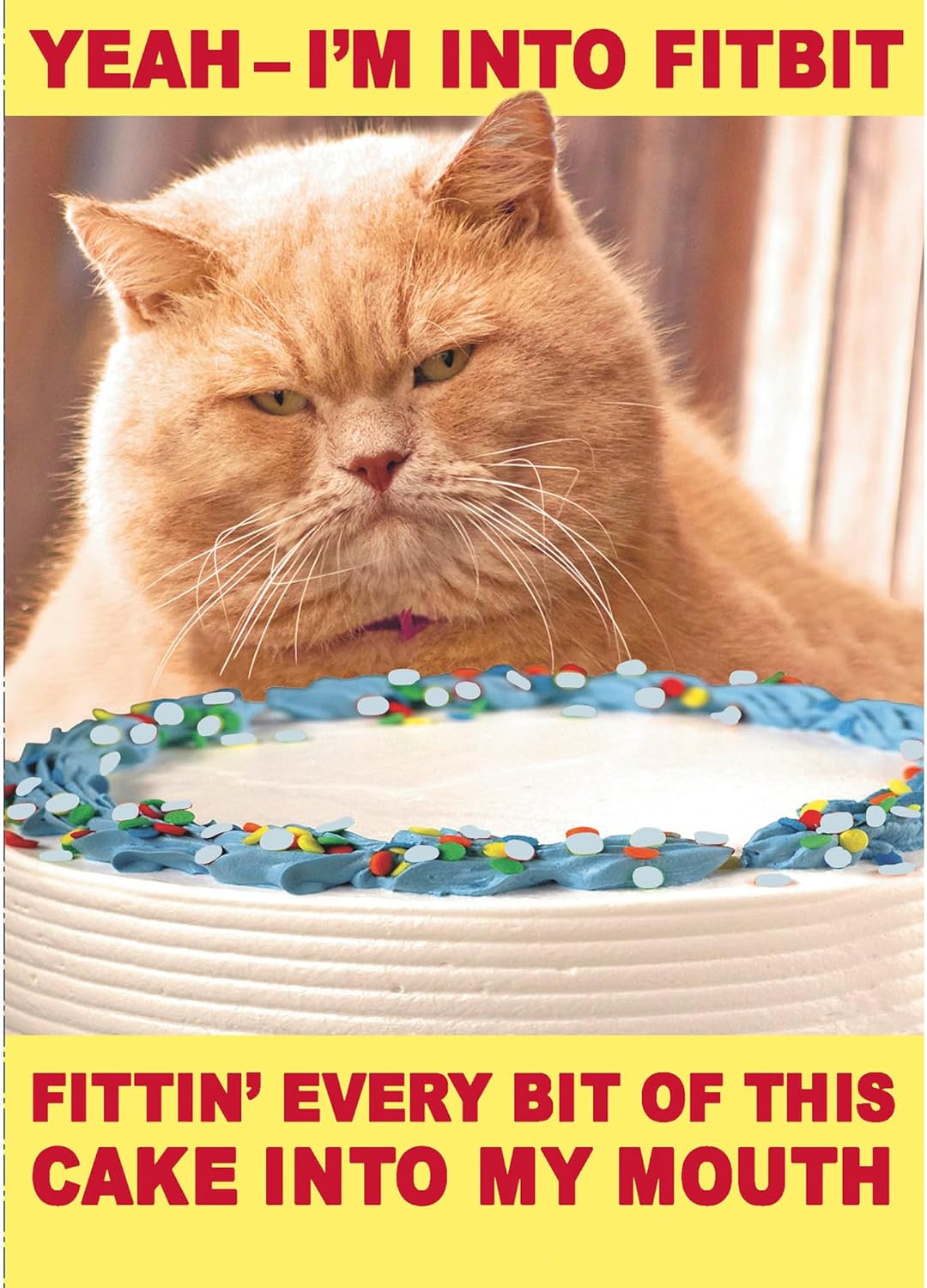 Funny Ginger Cat Design Yeah I am Into Fitbit