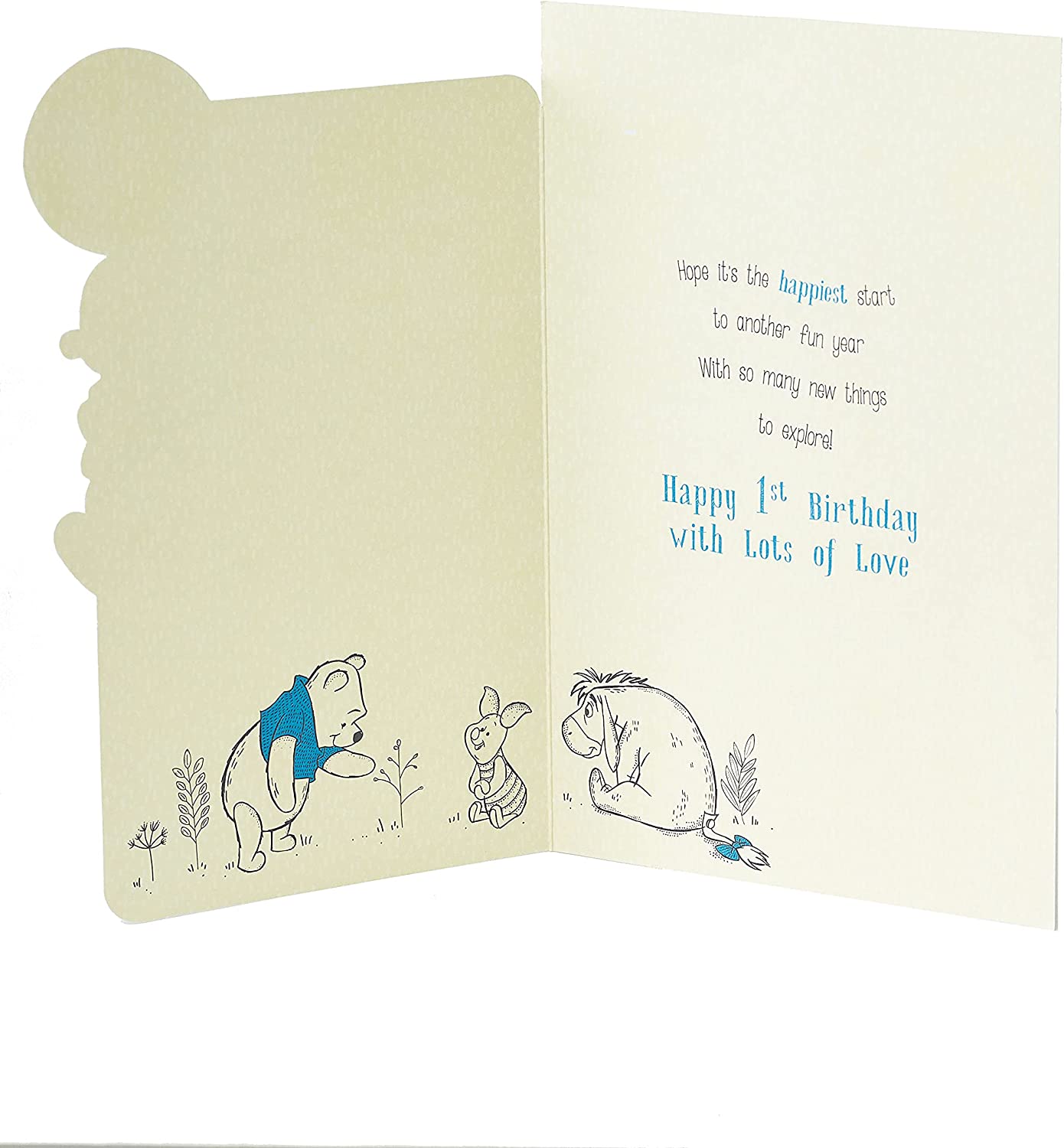 Disney Winnie The Pooh Baby Boy 1st Birthday Card