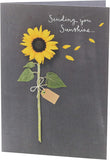 Sending You Sunshine Sunflower Design Greeting Card