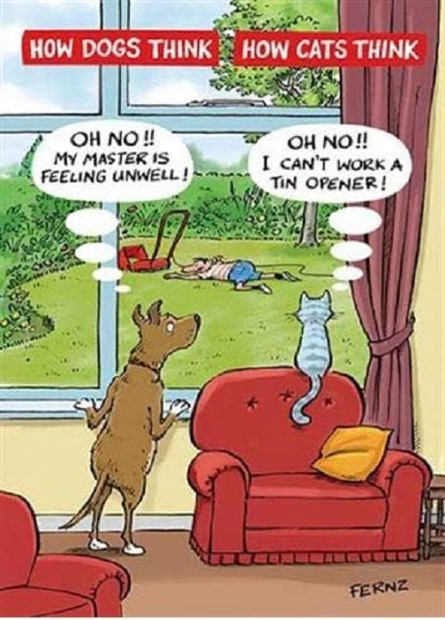 Master Feeling Unwell Humorous Card