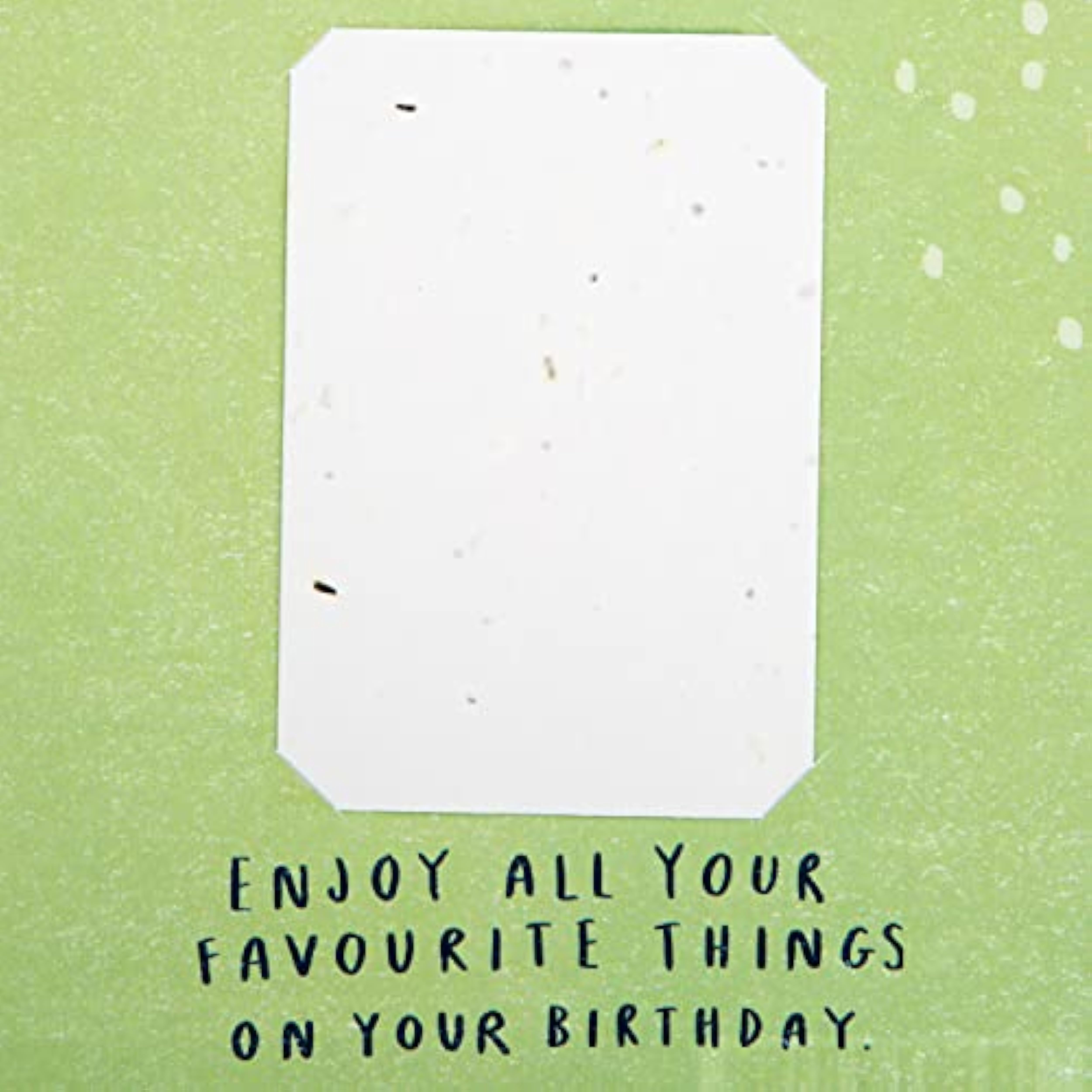 Contemporary Garden Design with Seeded Paper Insert Birthday Card