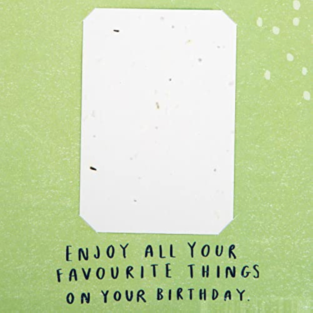 Contemporary Garden Design with Seeded Paper Insert Birthday Card