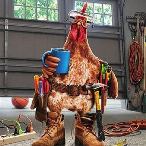 Avanti Press Funny Open Male 'Happy Birthday' Card - 'No Improvements' - Chicken with Coffee and Tools - From The Great British Card Company