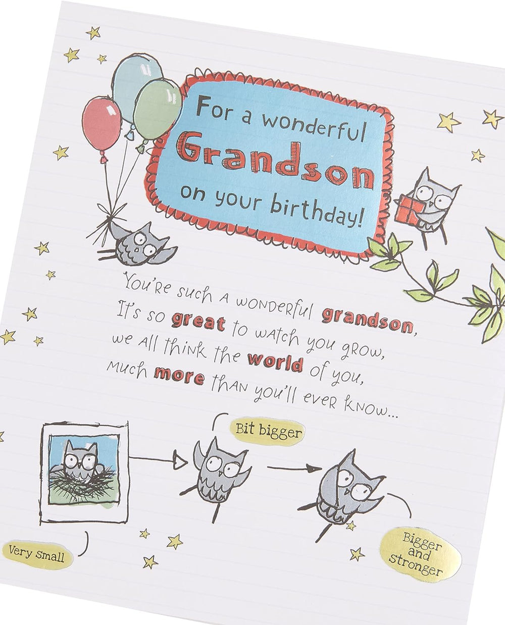 Owl Illustration and Sentimental Verse Birthday Card for Grandson