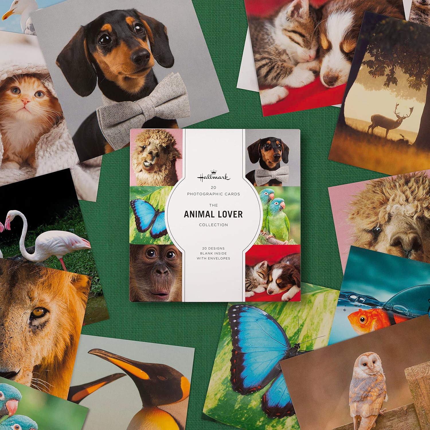 Photographic Animal Designs Multipack of 20 Blank Cards