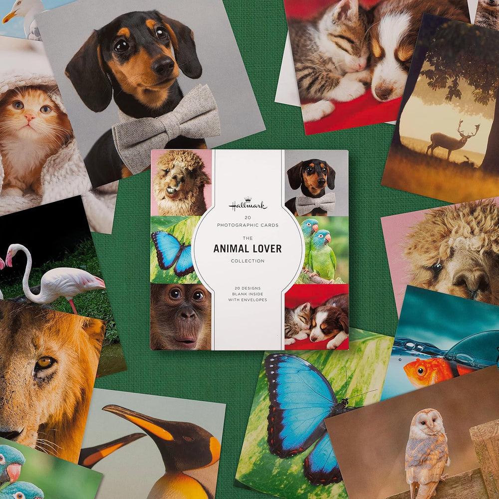 Photographic Animal Designs Multipack of 20 Blank Cards